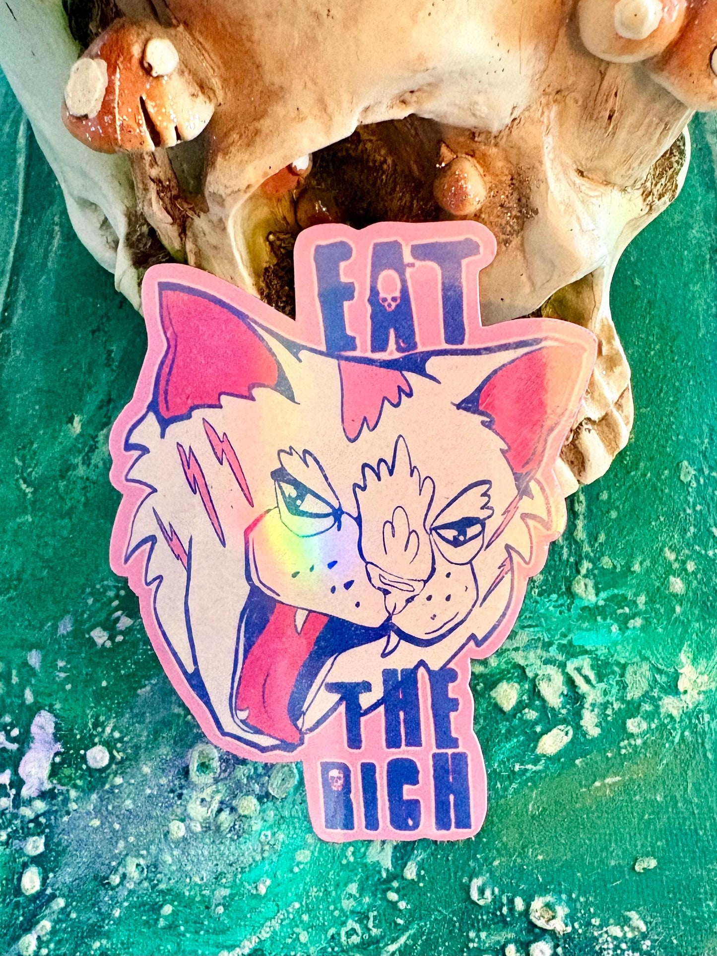 Holographic Pink Cat Sticker: Holographic Political Eat the Rich Laptop Decal (Water Resistant)