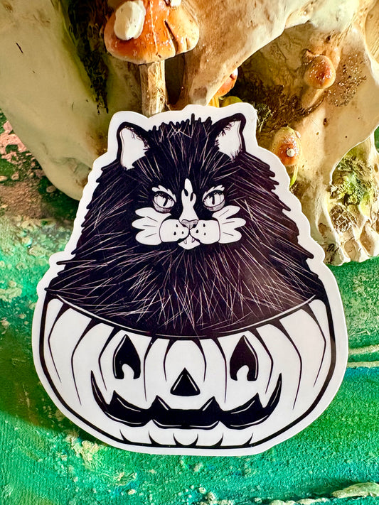 Hand Drawn Cat Sticker - Halloween Pumpkin Cat