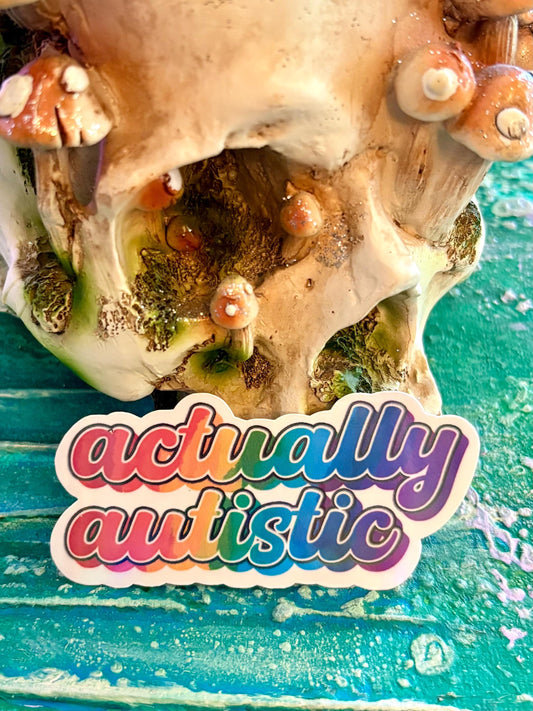 Handmade Actually Autistic Neurodivergent Sticker | Spoonie Sticker | Neurospicy | Disability Acceptance  Sticker | Rainbow AuDHD Stickers